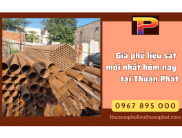Cập nhật nhanh giá phế liệu sắt mới nhất hôm nay tại Thuận Phát