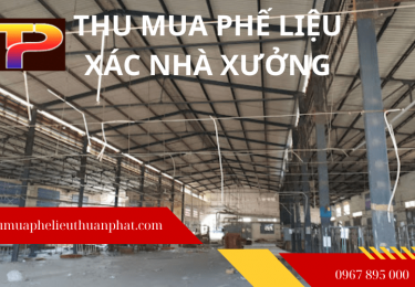 cosothumuaxacnhaxuongcugiacaohotrodonmatbang-3-8364.png