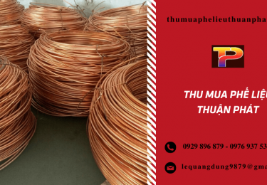 diachithumuaphelieudonguytingiacaotaihochiminh2-5702.png
