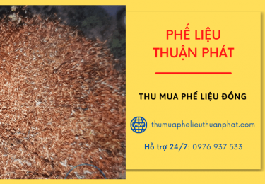 diachithumuaphelieudonguytinmuatatcacacloaidongphelieu7-2930.png