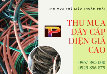 nhanthumuadaycapdiennhamay-1-5115.png