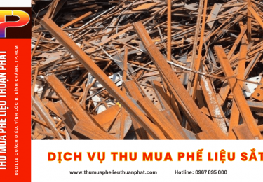 nhunglydobanchonthuanphatladonvimuaphelieusat-4-7696.png
