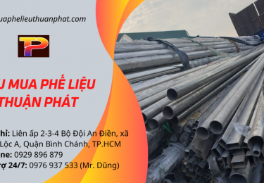 phelieuthuanphat-4782.png
