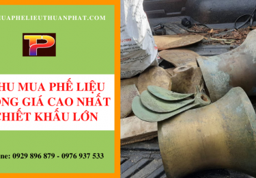 phelieuthuanphatchuyenthumuaphelieudonggiacaonhattrenthitruong-5993.png