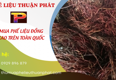 phelieuthuanphatchuyenthumuaphelieudonggiacaotoanquoc-9944.png