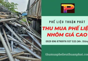 phelieuthuanphatthumuatatcacacloaiphelieunhom-5622.png
