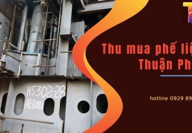 thuanphat-1-5493.jpg