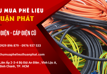 thuanphatchuyenthumuadaydiencudaycapdiencongtrinhtphcmhtm-2-3679.png