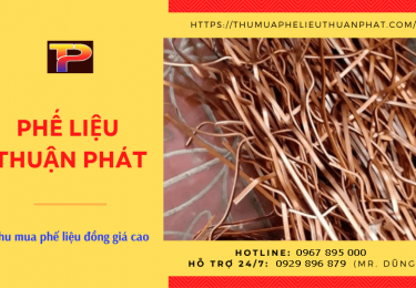 thumuaphelieudonggiacaonhatsaigoncosothuanphatt-5662.png