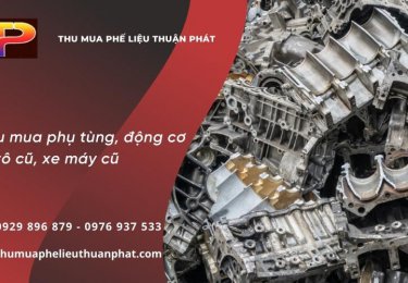 thumuaphelieuthuanphatthumuaphutungxemaycudongcootocugiacaonhatthitruong1-9773.jpg