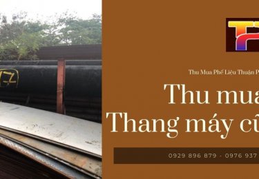 thumuaphelieuthuanphatthumuathangmaycugiacaotaisaigonphelieuthuanphat1-1679.jpg