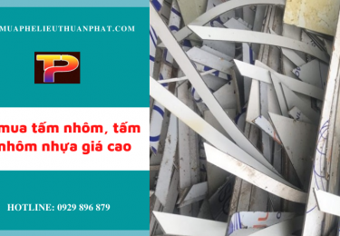 thumuatamnhomtamopnhomnhuagiacao-8117.png