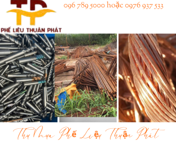 Thu Mua Phế Liệu Tại Bình Định Giá Cao – Tận Nơi, Hoa Hồng Hấp Dẫn