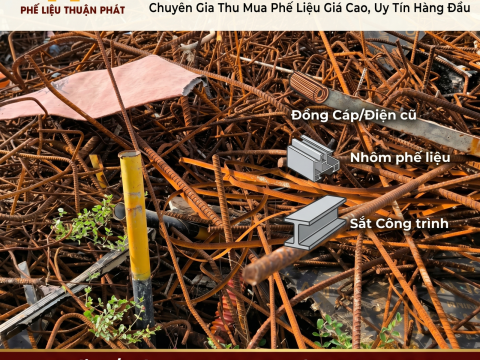 Thu Mua Phế Liệu Bạc Liêu Giá Cao - Tận Nơi, Hoa Hồng Cao