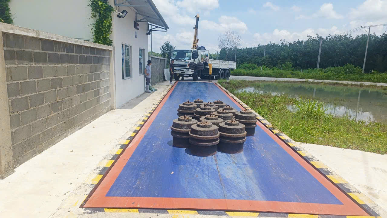 thumuaphelieuthuanphat.com