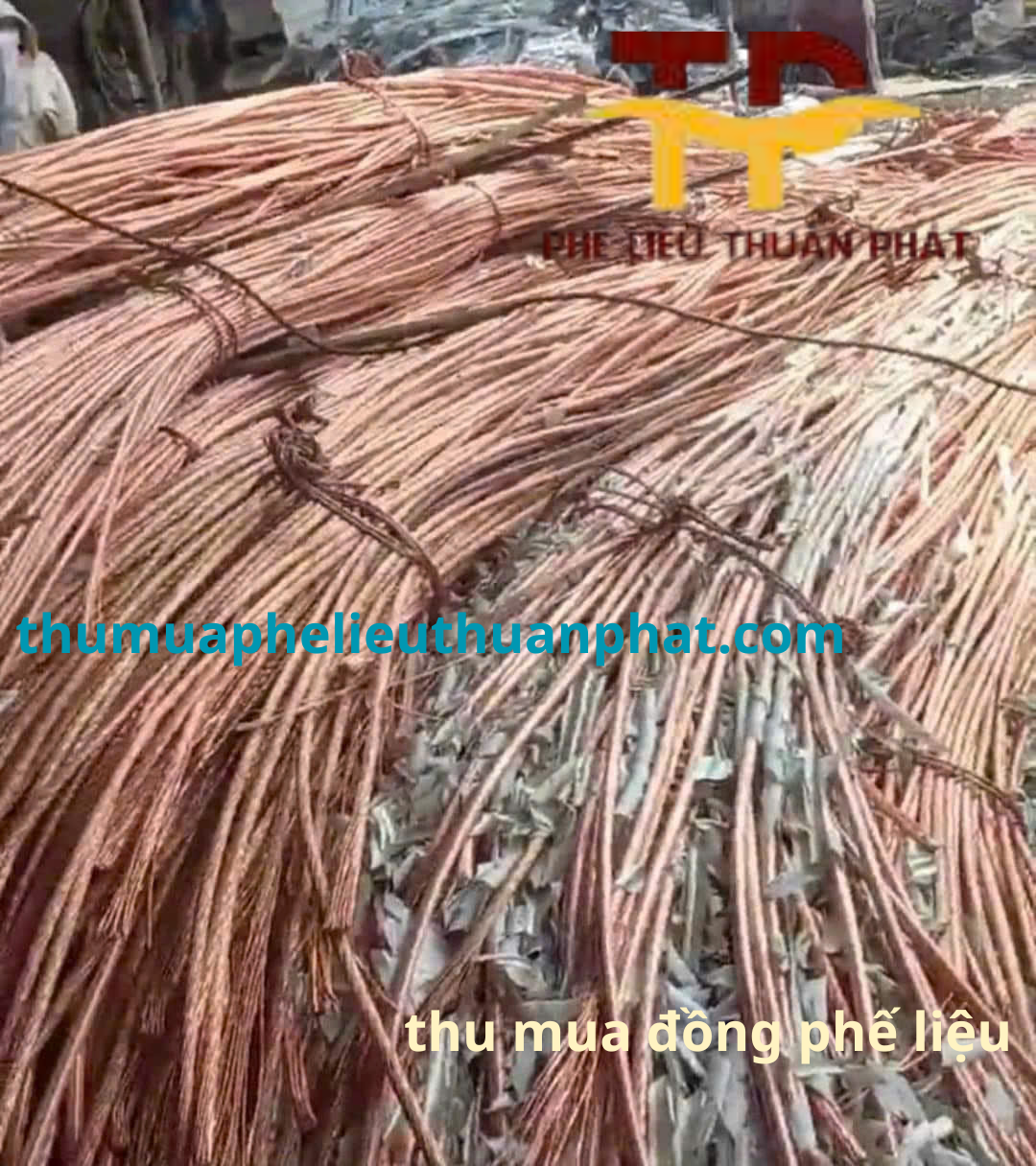 kho bãi thuận phát