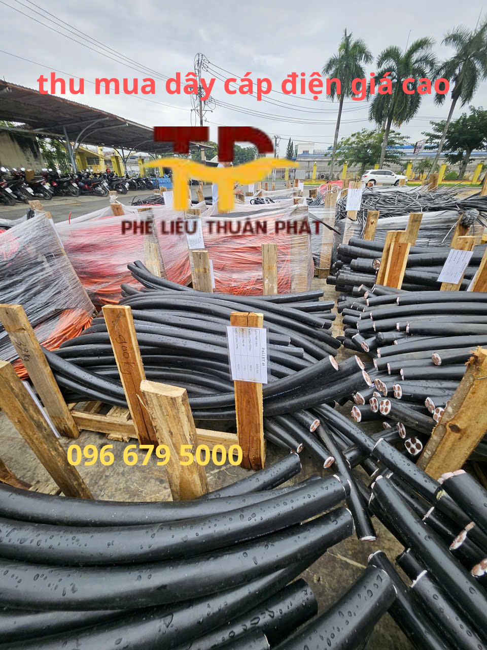 thu mua dây cáp điện giá cao