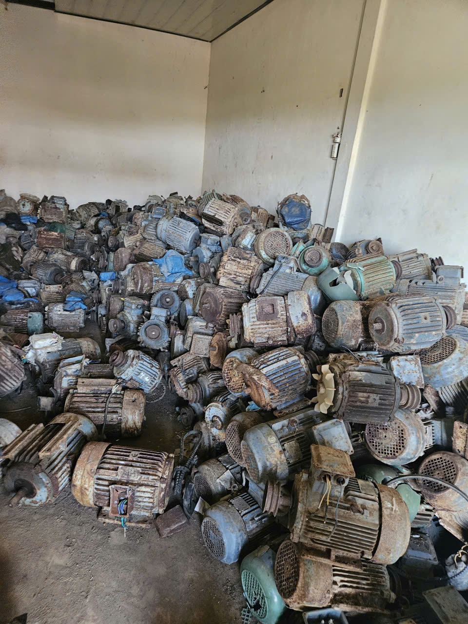 thu mua số lượng lớn