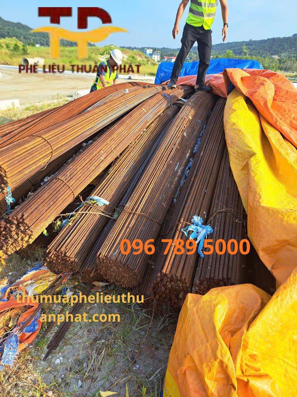 thu mua tận nơi, báo giá tốt