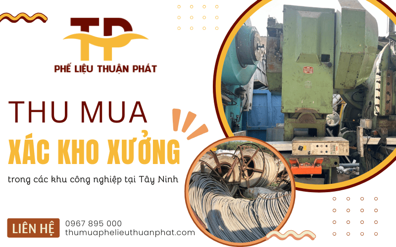 Thu mua xác kho xưởng