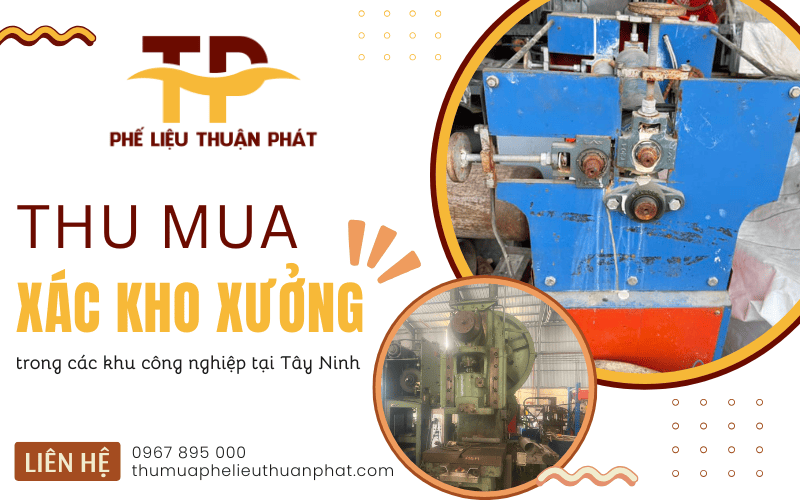 Thu mua xác kho xưởng