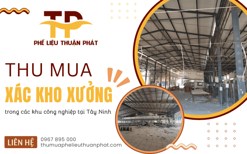 Thu mua xác kho xưởng
